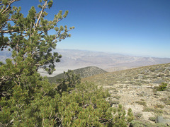 Inyo Crest 37