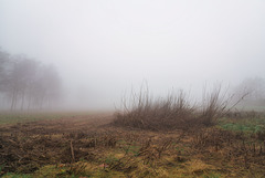 Vergänglichkeit der Natur