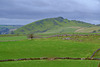 Chrome Hill