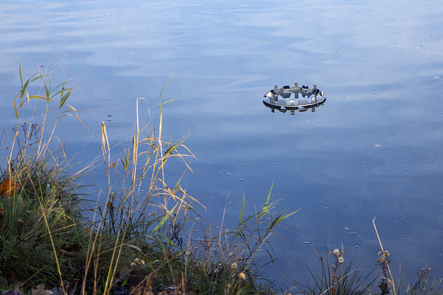 Object Floating down the River Leven