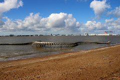 LE SERPENT A MINDIN LOIRE ATLANTIQUE