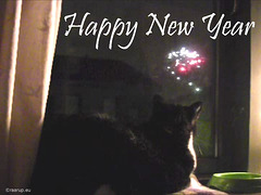 Happy New Year from Snow White & Rags (vidcap)