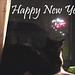 Happy New Year from Snow White & Rags (vidcap)