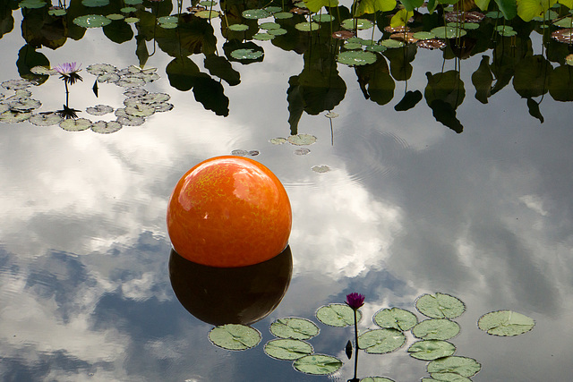 Italian Garden, ball