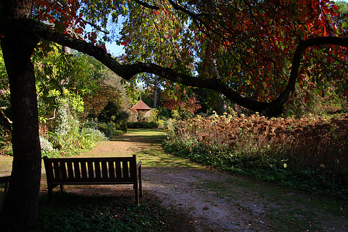 Jamais seul quand la nature t'entoure