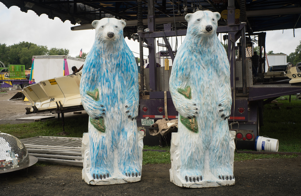 Fair Bears 2