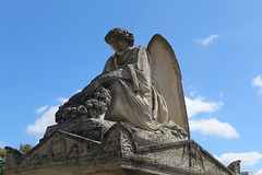 angel