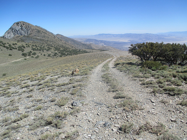 Inyo Crest 39