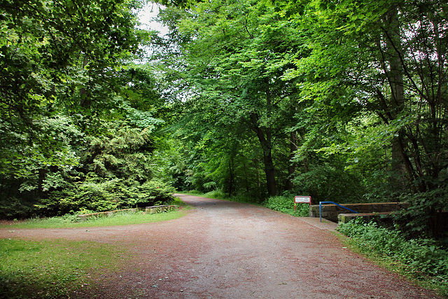 Weg am Düsselbach (Revierpark Vonderort, Oberhausen-Osterfeld) / 21.05.2022