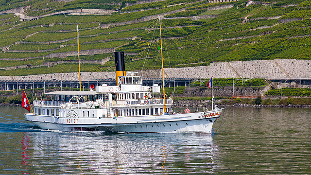 140905 Vv Lavaux 1