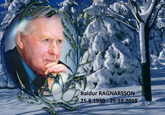 Forpasis poeto Baldur Ragnarsson
