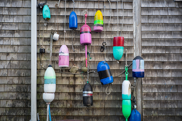 P-Town Buoys 2