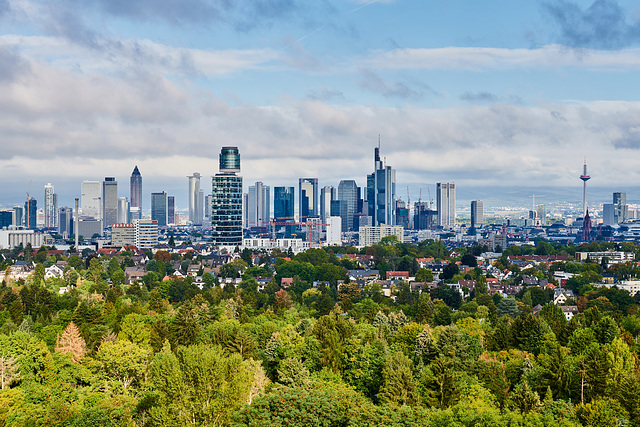 Frankfurt Skyline