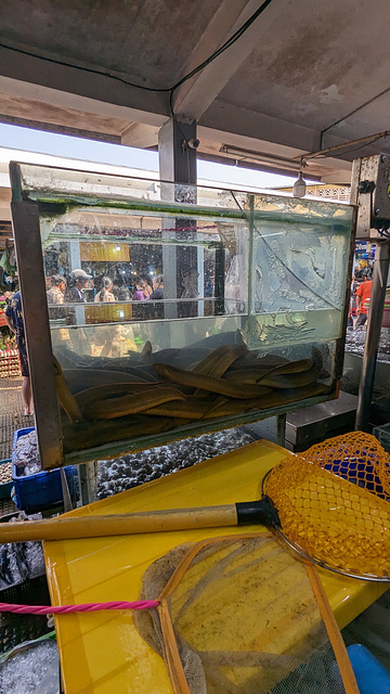 Pêche au filet de type rare