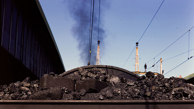 770900 Genève C5 6 tender