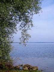 Lac du Der