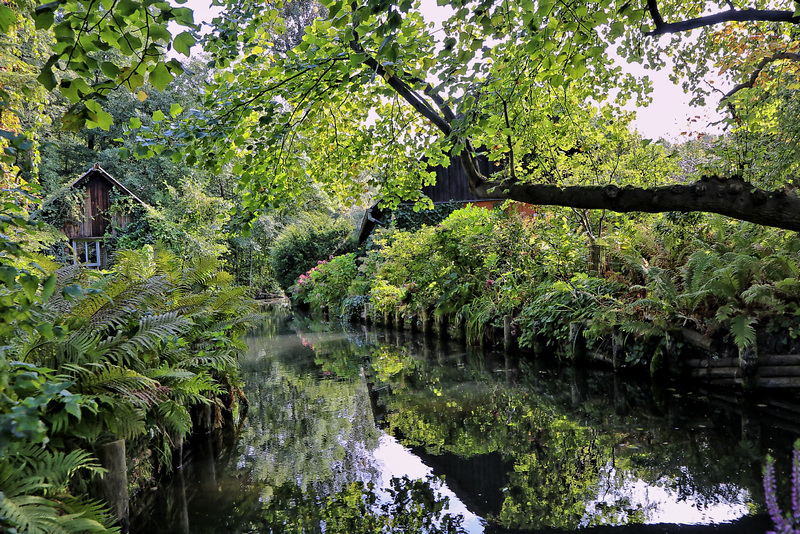 Spreewald in der Nähe von Berlin