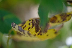 DSCF0784
