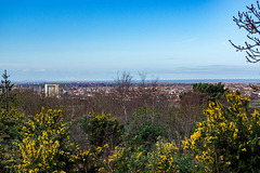 Bidston hill view