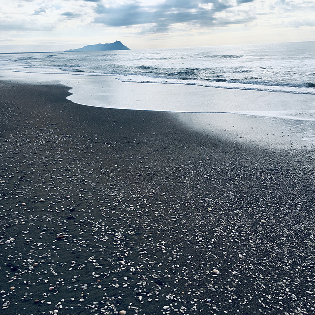 Along the shore.