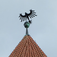 Brandenburgischer Adler