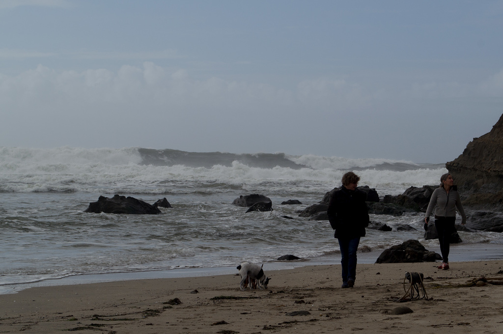 Half Moon Bay  Mavericks (#0037)