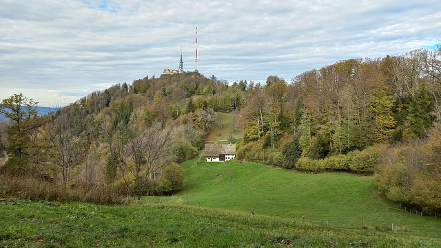 Uetliberg  / Der Hausberg von Zürich