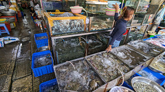 Jeune dame poissonnière au panier