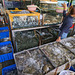 Jeune dame poissonnière au panier