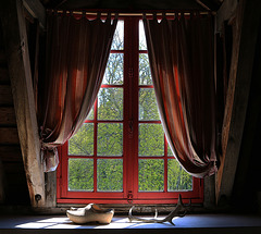 Le rossignol chante mieux dans la solitude des nuits qu'à la fenêtre des rois . ( P. Lorain )