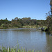 WaterBirdPark0816 1010