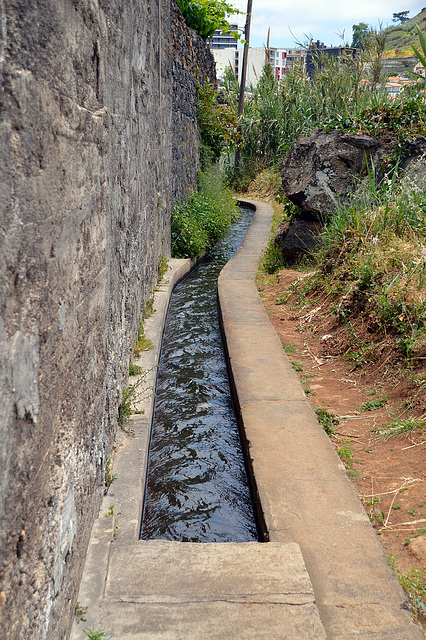 Unterwegs auf der Levada do Calvo in Funchal