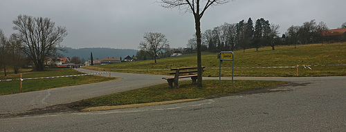 Blick auf die Krokusstraße   - - HBM - -