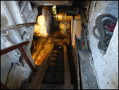 beer cellar