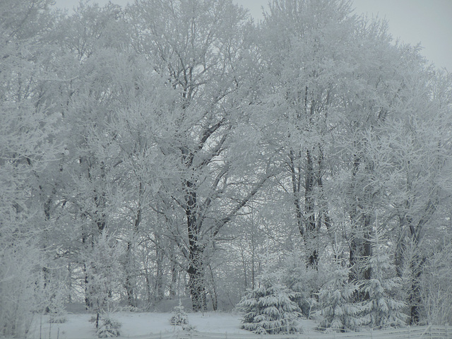 Als es im Winter noch (viel) Schnee gab