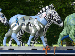 Zany Zebras On Parade_021 - 12 July 2016