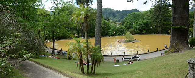 Azores, Island of San Miguel, The Iron Lake in the Park of Terra Nostra
