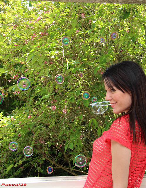 la fée des bulles