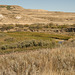 Frenchman River cutbank
