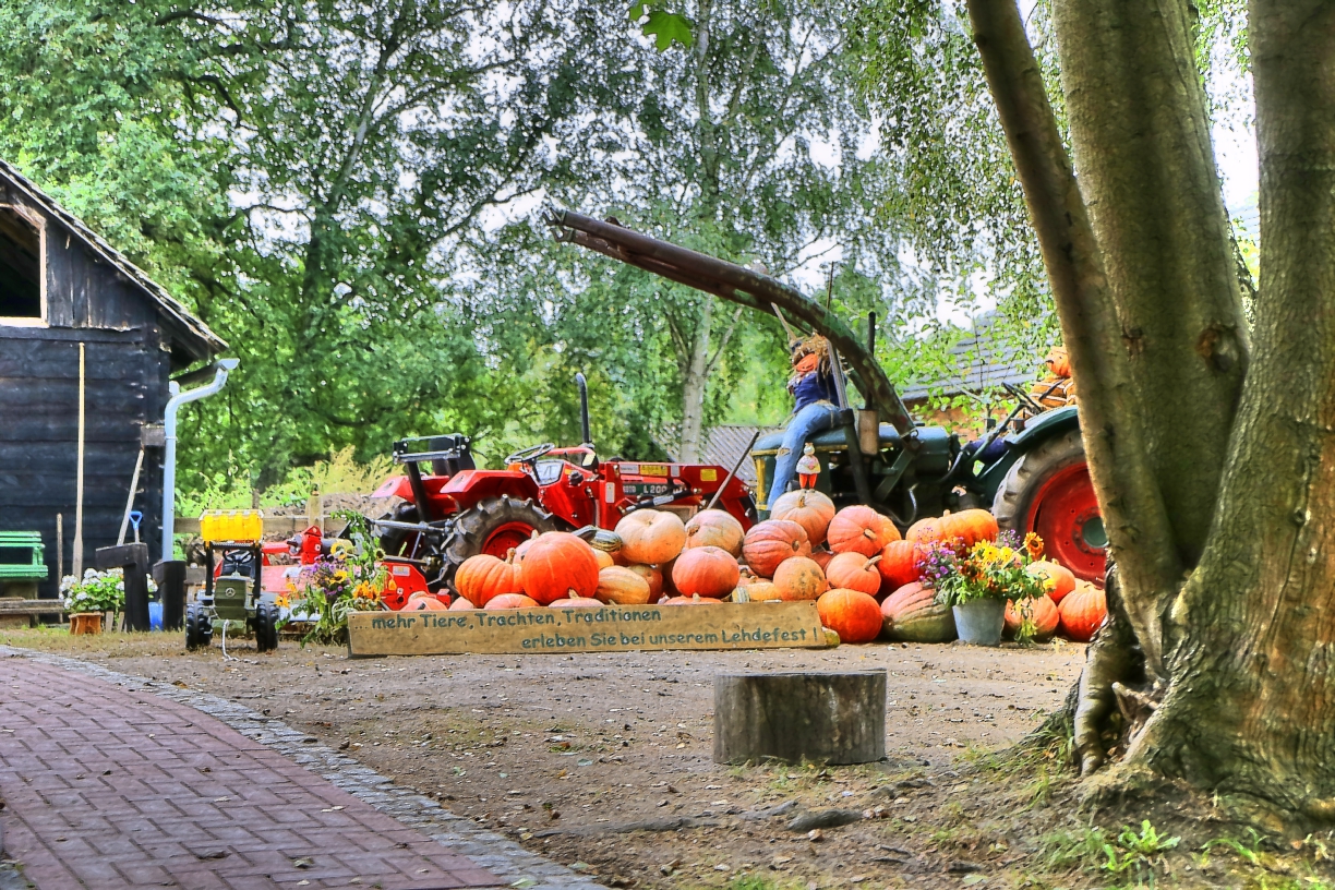 Spreewald