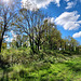 Midday at the nature center.