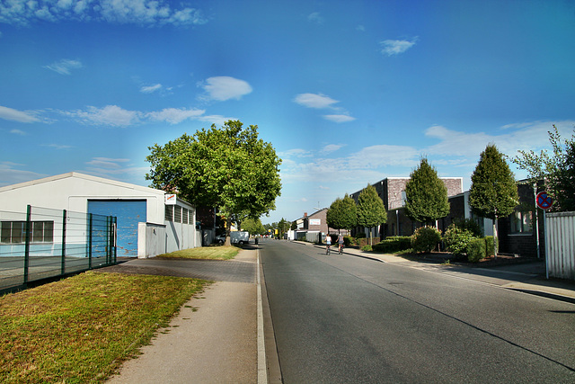 Lünsingskuhle (Dorsten) / 19.07.2020