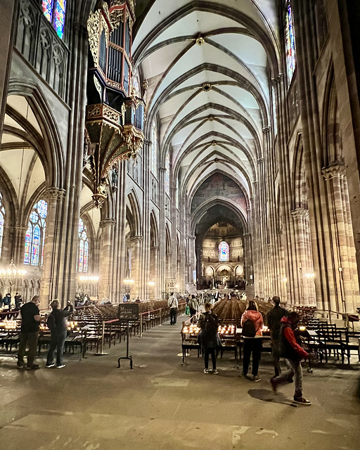 Strasbourg 2025 – Cathédrale Notre-Dame