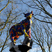 Vache multicolore dans les arbres