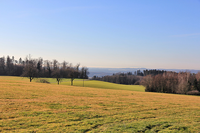 Blick auf den unter einer Nebeldecke liegenden Bodensee