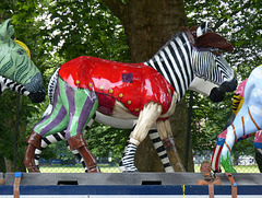 Zany Zebras On Parade_023 - 12 July 2016