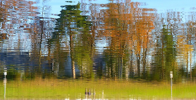 les dessous de l'automne...