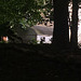 IMG 9570