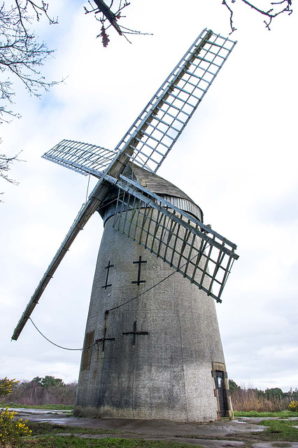 Bidston Windmill4