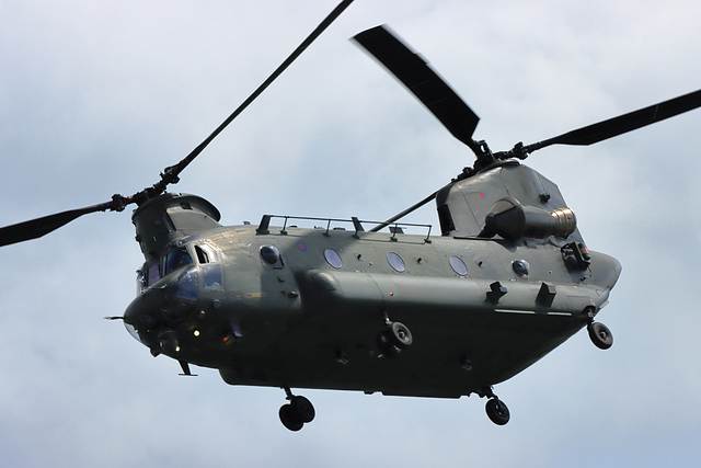 EOS 90D Peter Harriman 12 37 03 33138 chinook3 dpp